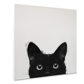 Canvas Graves - Are you awake yet Canvas Graves - Are you awake yet