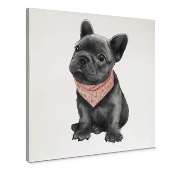 Canvas Graves - Frenchie 