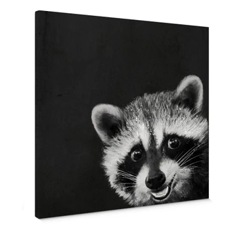 Tableau en toile Graves - Raton laveur 