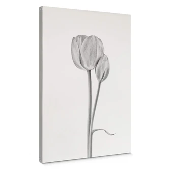 Canvasbillede - Grønkjær - Tulipaner 