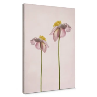 Canvas Grønkjær  - Summer 