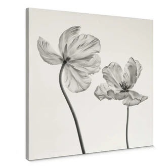 Canvas Grønkjær - Tulpen 