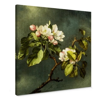 Leinwandbild Heade - Apfelblüten 