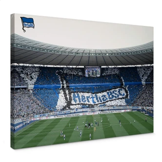 Leinwandbild Hertha BSC - Spielstart im Stadion 