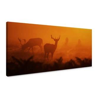 Deer in the sunset Canvas print panorama Deer in the sunset Canvas print panorama