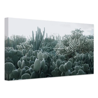 Canvastavla kaktusar 