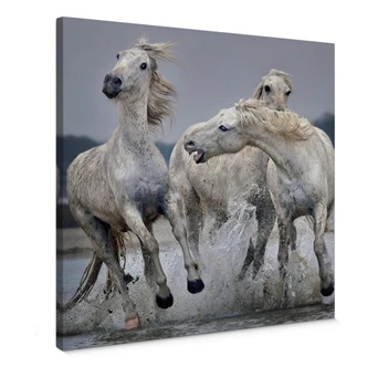 Canvas Print Keates - Move Over 