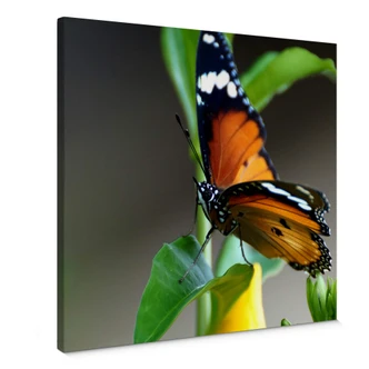 Small Mistakes Canvas print Small Mistakes Canvas print