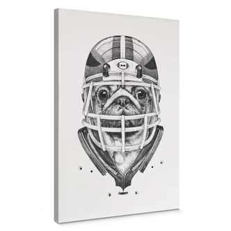 Leinwandbild Kools - American Pug Football 