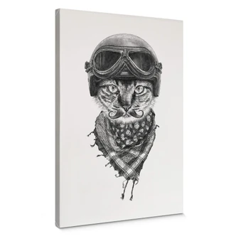 Leinwandbild Kools - Biker Cat 