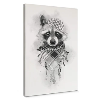 Leinwandbild Kools - Rocco Raccoon 