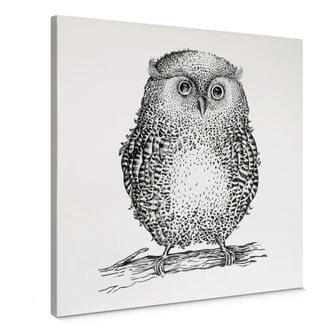 Canvas Kvilis - Owl 02 