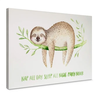 Obraz na płótnie Kvilis - Nap all day 