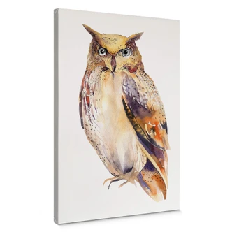 Canvas Kvilis - Puchacz 