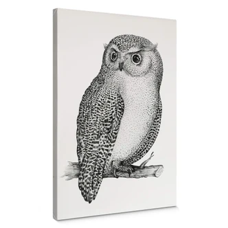 Canvas Kvilis - Czujna sowa 