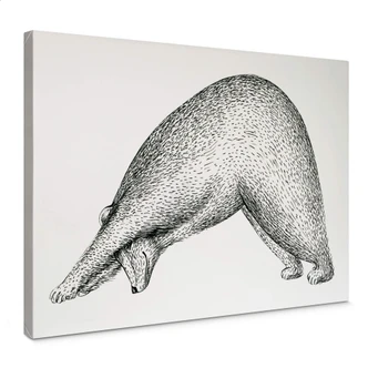 Canvas Kvilis - Yoga Bear 01 