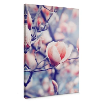 Leinwandbild Magnolienknospe 