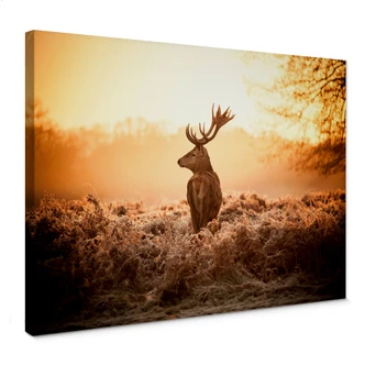 Canvas Majestueus Hert 