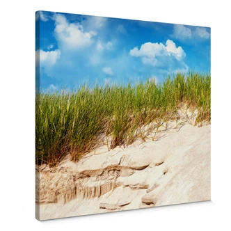 Paesaggio con dune sulla costa del Mar Baltico 