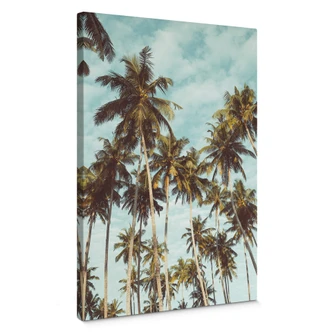 Canvas Print Palm Trees 08 
