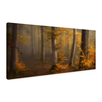 Leinwandbild Goldene Blätter im nebligen Wald - Maier - Panorama 