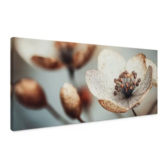 Canvas schilderij Boho gedroogde bloem macro - Treechild - Panorama 