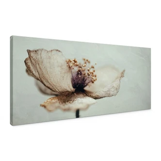 Canvas schilderij Delicate gedroogde bloem in beige | Boho bloemsierkunst - Treechild - Panorama 