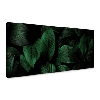 Tableau sur toile Feuilles tropicales - Panorama 