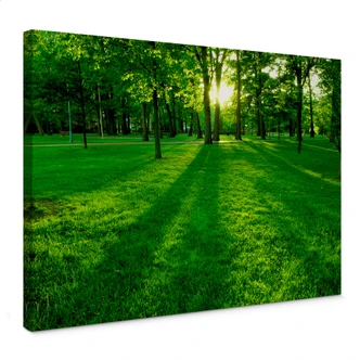 Leinwandbild Park im Grünen 