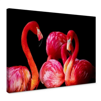 Leinwandbild Pink Flamingo 