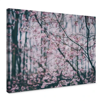 Leinwandbild Pink Flower Dream 03 