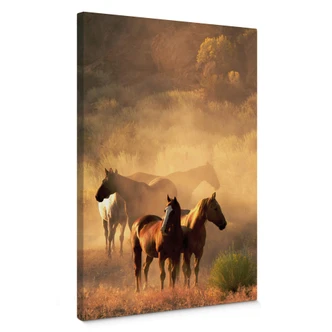 Canvas Paardenkracht 