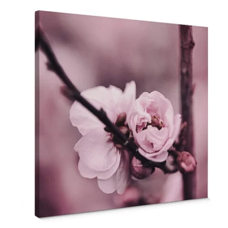 Canvas Blooming Flower Canvas Blooming Flower