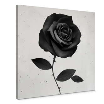 Lienzo Irlanda - Tela Rosa - Stoffrose 