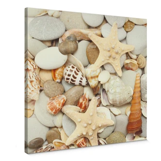 Leinwandbild Muscheln und Steine - Quadratisch 