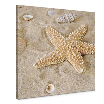 Obraz na płótnie Patrick rozgwiazda - kwadrat Obraz na płótnie Patrick rozgwiazda - kwadrat