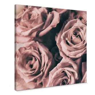 Leinwandbild Rosa Rosen im Vintagestil - Quadratisch 