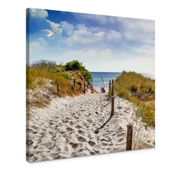 Canvas Way to the Beach - vierkant 
