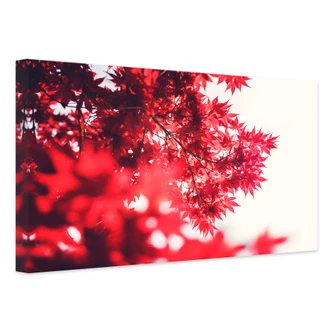 Canvas Esdoorn in de Herfst 