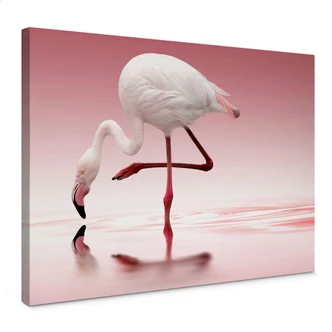 Canvasbillede - Pink Flamingo 