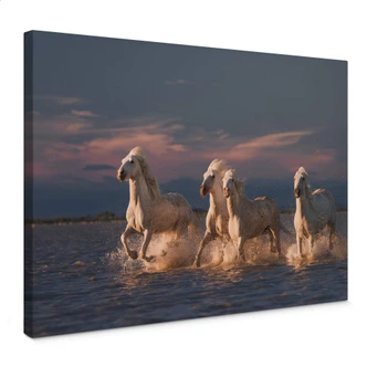 Canvas Print Rostovskiy - Angels of Camargue 