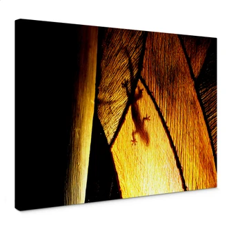 Leinwandbild Schattenspiel 