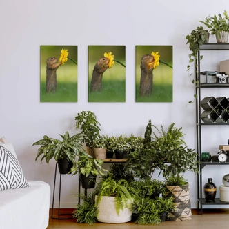 Canvas set van Duijn - Eekhoorn met bloem 3-delig Canvas set van Duijn - Eekhoorn met bloem 3-delig