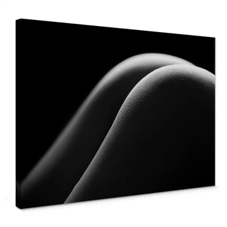 Leinwandbild Sexy Curves 