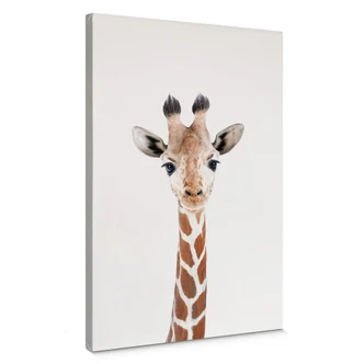 Leinwandbild Sisi & Seb - Baby Giraffe 