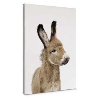 Obraz na płótnie Sisi & Seb - Mały osiołek 