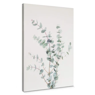 Canvas Sisi & Seb - Eucalyptustak 
