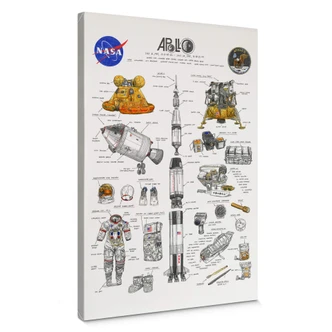 Obraz na płótnie Sparshott - Apollo 11 