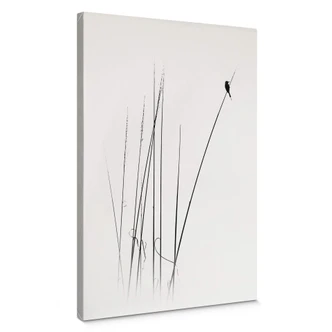 Canvas Swapnil - Time Out 