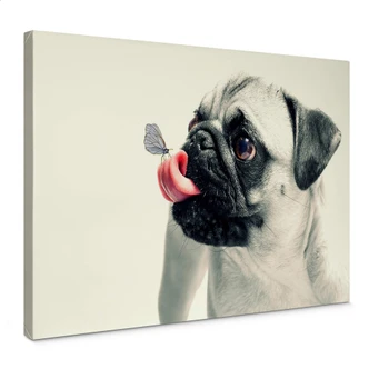 Animal Affection Canvas print 